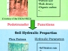 o_Hidroedafologia 3